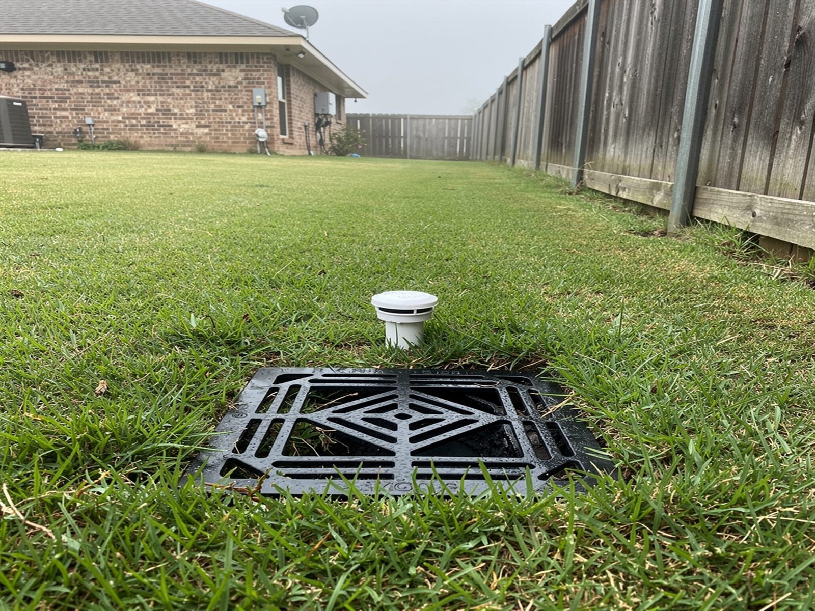 Healthy green Beaumont lawn after drainage system installation